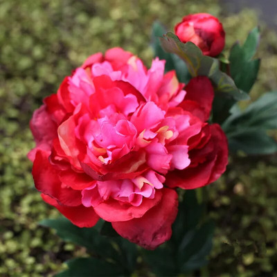 60 CM o singură ramură de înaltă calitate, floare artificială de bujor de mătase, decorație frumoasă pentru casă, nuntă, florală falsă, ținând flori