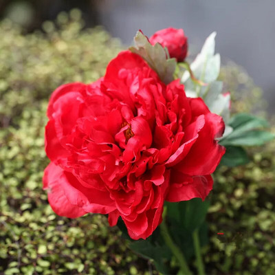 60 CM o singură ramură de înaltă calitate, floare artificială de bujor de mătase, decorație frumoasă pentru casă, nuntă, florală falsă, ținând flori