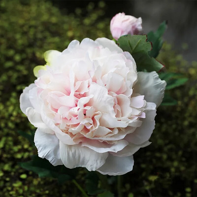 60 CM o singură ramură de înaltă calitate, floare artificială de bujor de mătase, decorație frumoasă pentru casă, nuntă, florală falsă, ținând flori