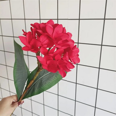 Üks siidist pika varrega Frangipani lilleoksa simulatsioon Plumeria Rubra kodupulmade keskseteks dekoratiivseteks lilledega kaunistuseks
