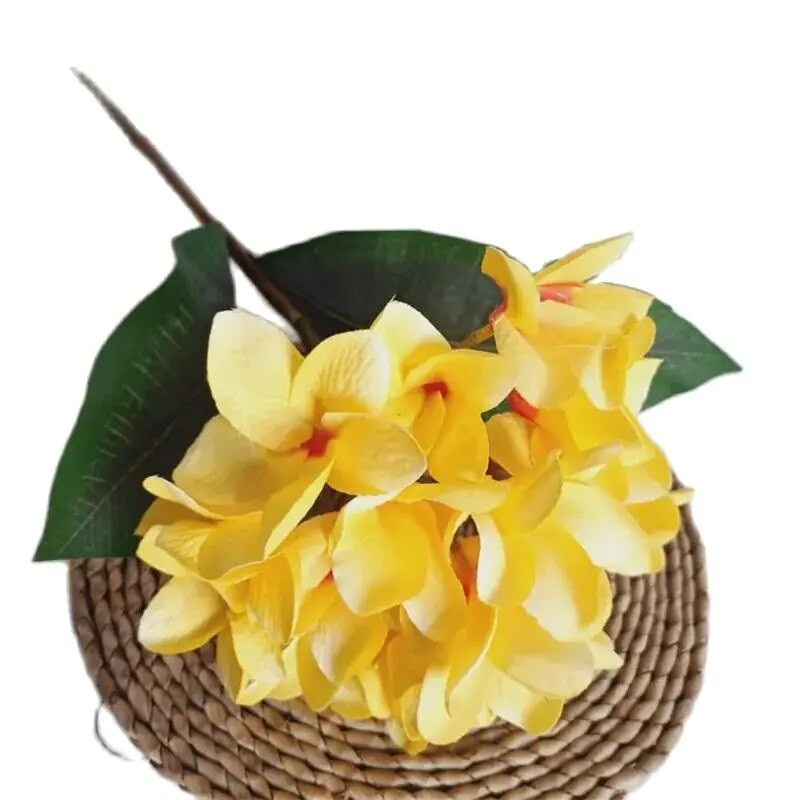 Üks siidist pika varrega Frangipani lilleoksa simulatsioon Plumeria Rubra kodupulmade keskseteks dekoratiivseteks lilledega kaunistuseks