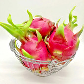 Modeliavimas Fruit Pu Modeliavimas Dragon Fruit Ankstyvojo ugdymo fotografijos rekvizitai Lango modelis Netikras drakono vaisius