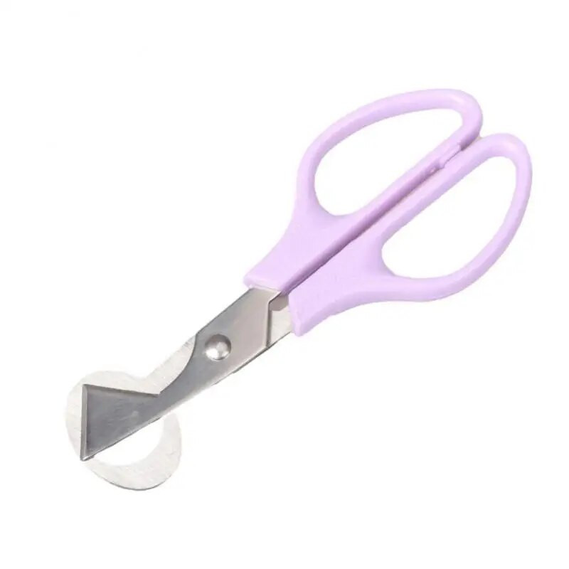 Putpelių kiaušiniai ir paukščių kiaušinių lukštai nerūdijančio plieno žirklės kiaušinių atidarytuvo žirklės virtuvės rankiniai įrankiai putpelių kiaušiniams ir paukščių kiaušiniams 1 vnt.