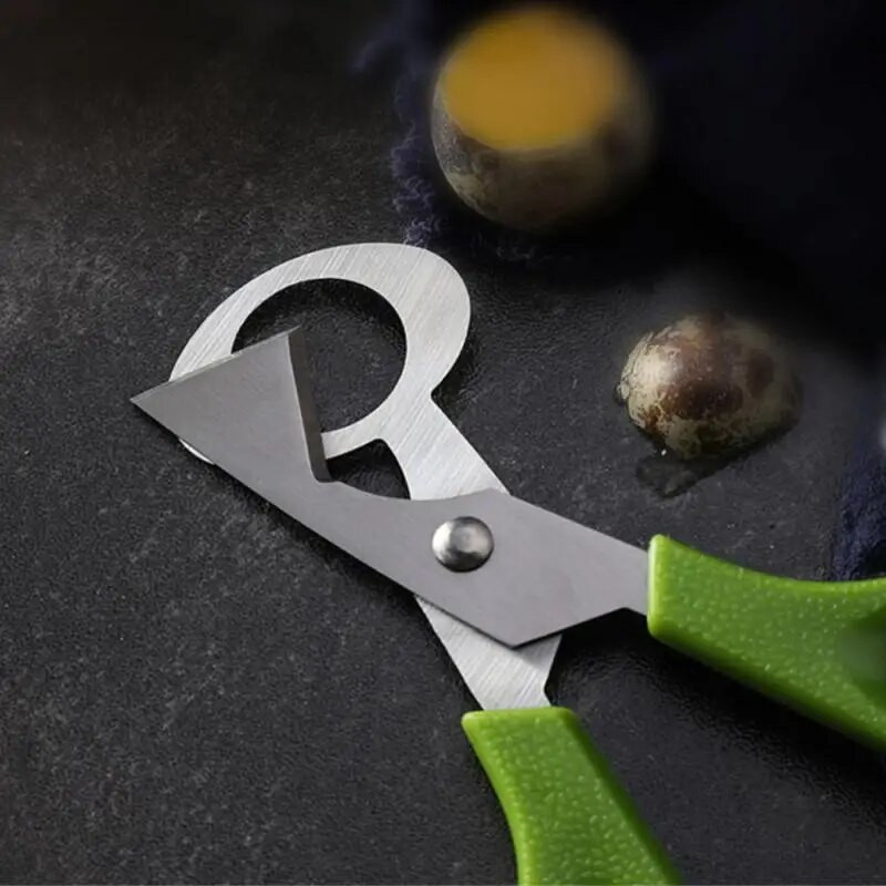 Putpelių kiaušiniai ir paukščių kiaušinių lukštai nerūdijančio plieno žirklės kiaušinių atidarytuvo žirklės virtuvės rankiniai įrankiai putpelių kiaušiniams ir paukščių kiaušiniams 1 vnt.