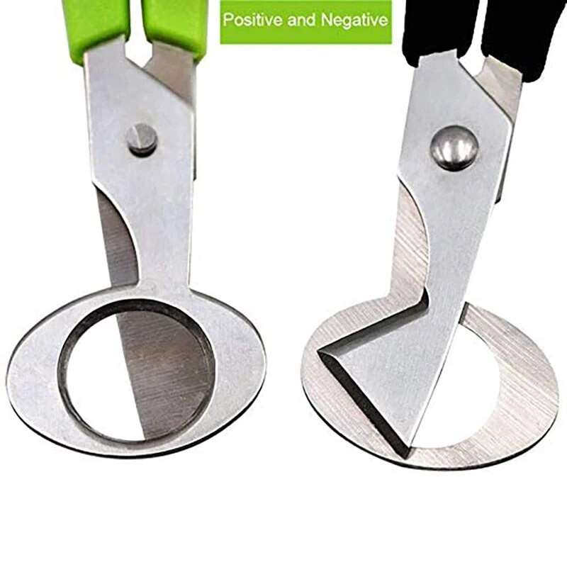 Putpelių kiaušinių žirklės paukščių kiaušinių žirklės nerūdijančio plieno kiaušinių pjaustytuvai kiaušinių lukštų pjaustytuvai kiaušinių atidarytuvai virtuvės rankiniai įrankiai žirklės