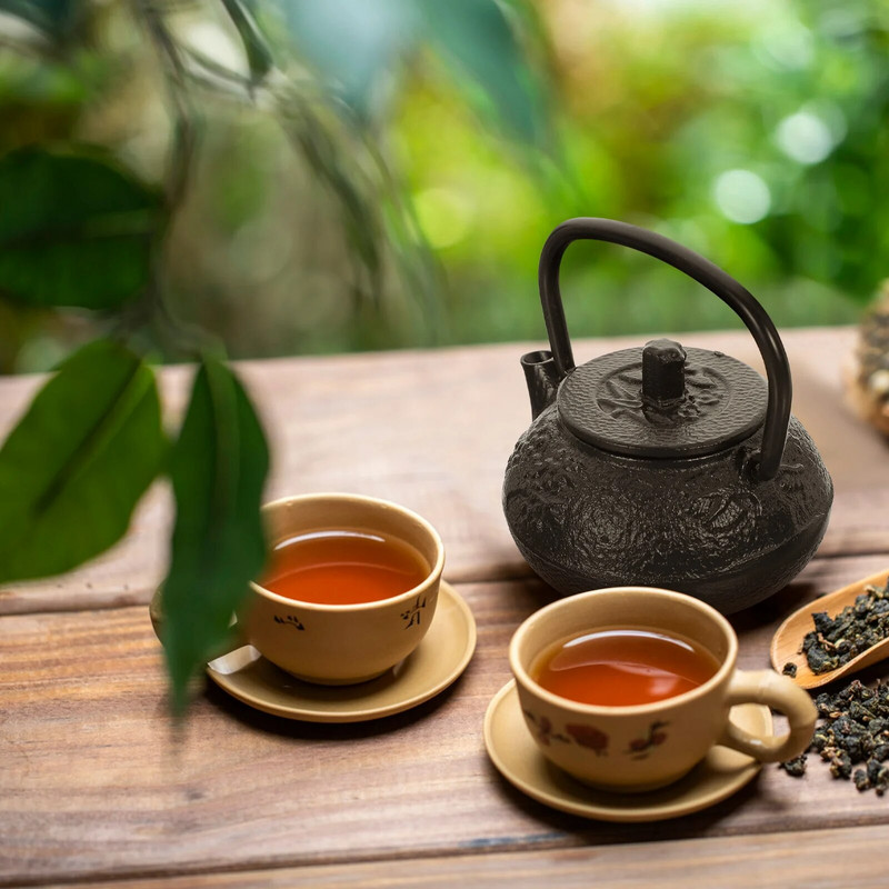 Čajnik Tea Kuhalo Japanski set glačala Lijevani kineski lonac Tetsubin Mini Štednjak za kavu Voda Loose Ploča za kuhanje Vintage Aparat Kipući Fu