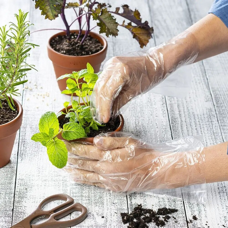 100db Savas munkavédelmi eldobható kesztyűk Új TPE élelmiszer minőségű tisztítókesztyűk átlátszó csúszásmentes latexmentes kesztyűk