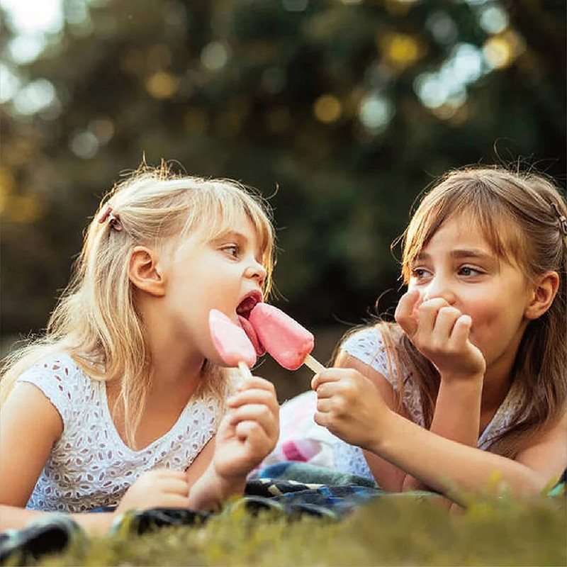 Forme de înghețată din silicon de calitate alimentară Forme pentru palete de gătit de casă Congelator pentru deserturi de casă Suc de fructe Cuburi de gheață Mucegai cu bețișoare