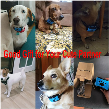 Συσκευή κατοικίδιου ζώου κατά του γαβγίσματος USB Ηλεκτρικό κολάρο εκπαίδευσης σκύλων υπερήχων Σκύλος Stop Barking Anti-Bark Collar