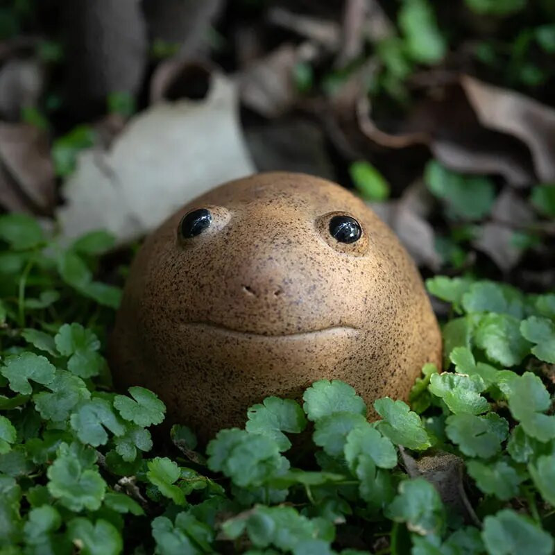 5 cm Lucky Frog Tea Pet Zen arbatos rinkinys Stambios keramikos porcelianas Rankų darbo kinų gyvūnas mielas modernaus stiliaus namų dekoras