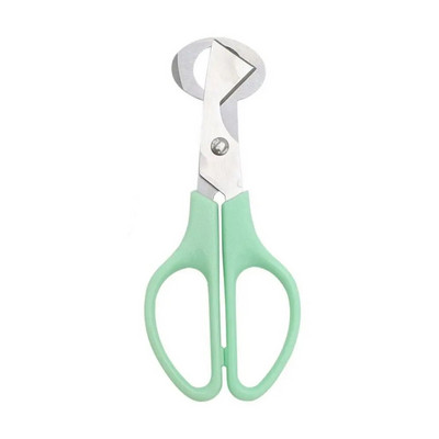 Praktiškas 2023 m. nerūdijančio plieno buitinis rūdims atsparus putpelių kiaušinių žirklinis kiaušinių lukštas žirklės virtuvės įrankis putpelių kiaušinių atidarytuvas